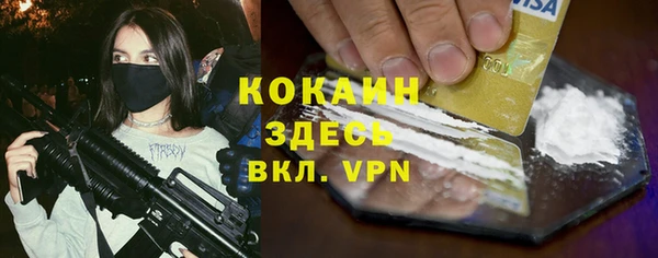 PSILOCYBIN Богородицк