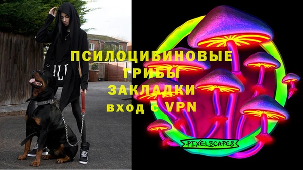 PSILOCYBIN Богородицк