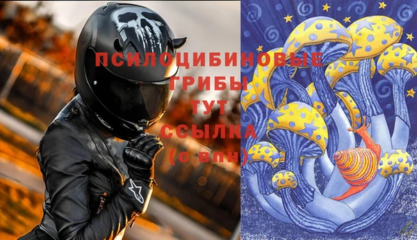 прущий лед Тихвин